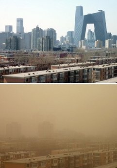 People In Sandstorm