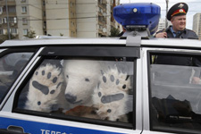 Russian cops put this furry protester on ice.