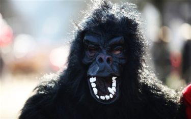 gorilla-man