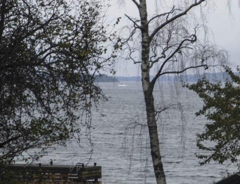 This amateur photo made available by the Swedish Defence Ministry shows an object in the sea near Stockholm