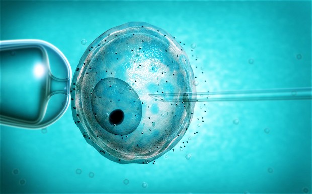 Chinese scientists have reportedly genetically engineered human embryo