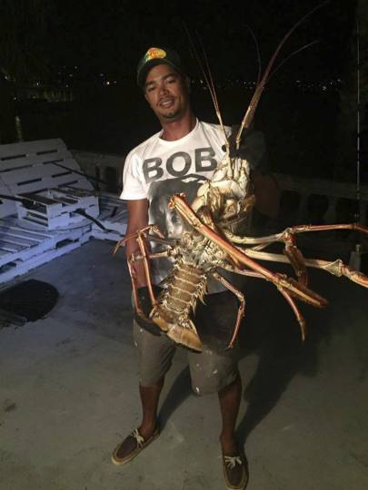 Tristan Loescher holds a 14-pound spiny lobster he caught while fishing on Oct. 14 in Bermuda. (Photo: AP)