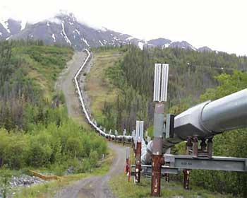 Trans Alaska Pipeline