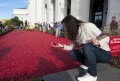 Union Station Cranberry Bog