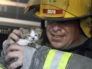 firecat