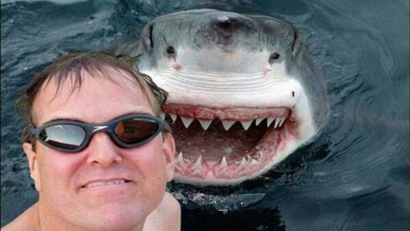 Because Sharks Don’t Take Selfies