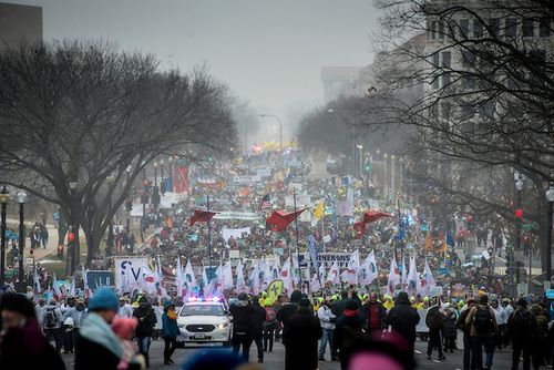 Networks Cover Panda Cub’s Debut 26x More than March for Life