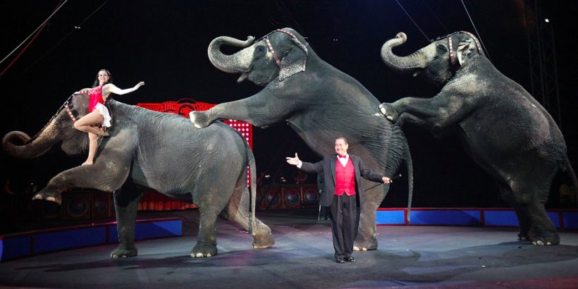 Ringling Bros. ending elephant acts