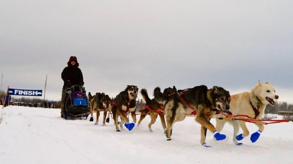 Three-time champion Seavey in lead halfway through Alaska’s Iditarod