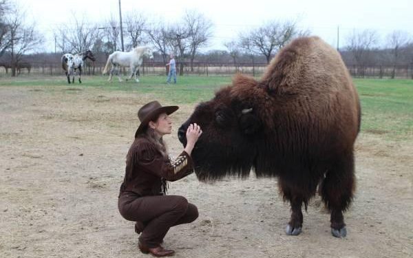 Do  you need a bison?