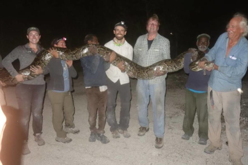 Famed snake trackers from India latest weapon in Florida war on pythons
