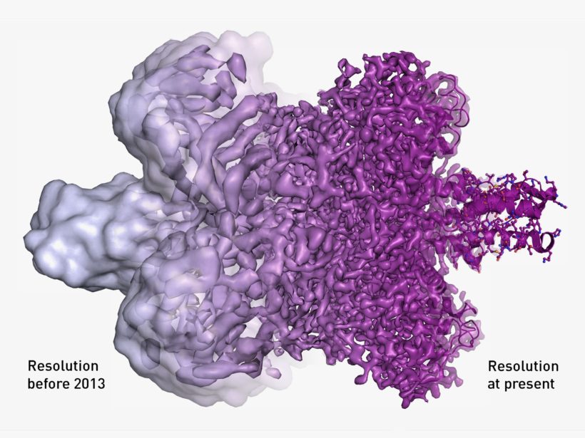 Nobel in chemistry for amazing cryo-electron microscopy