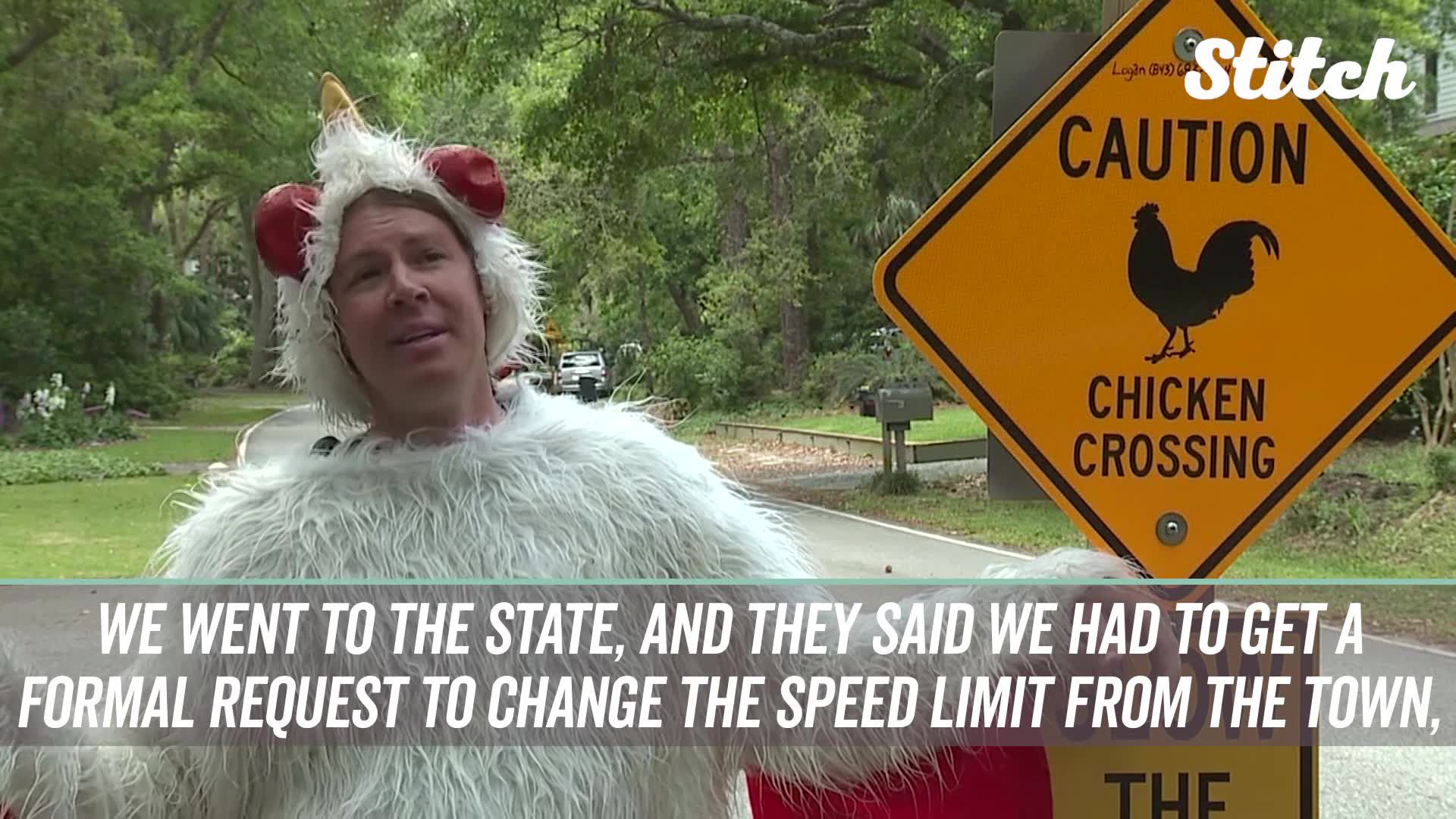 Collect Coins, why Did The Chicken Cross The Road, smash Hit