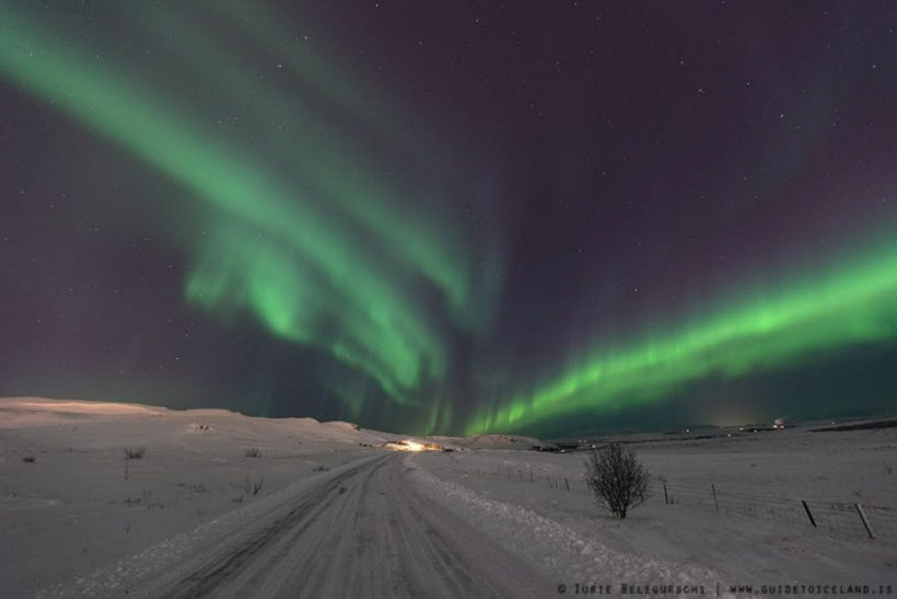 Iceland’s Northern Lights