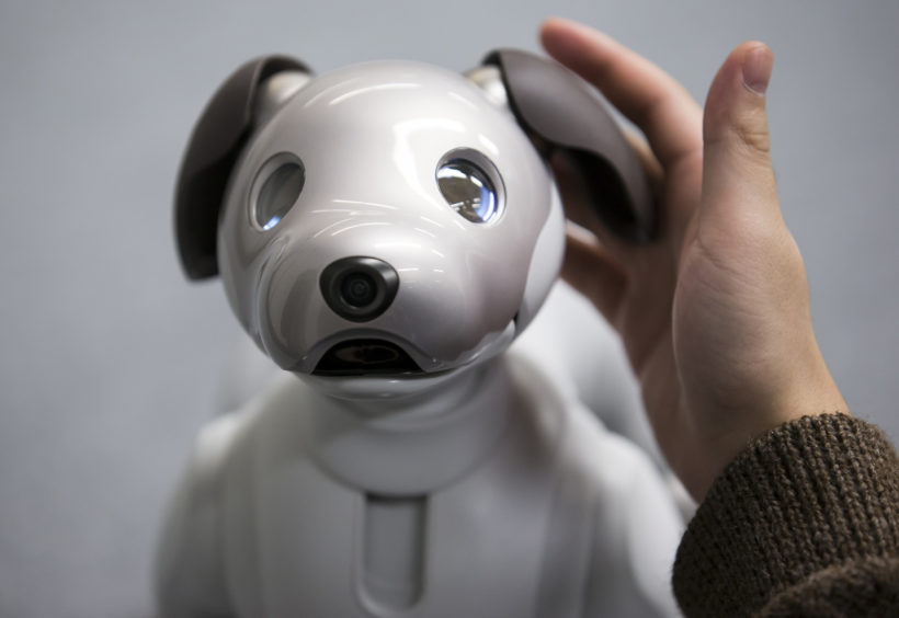 Sony’s facial recognition robot dog banned in Illinois