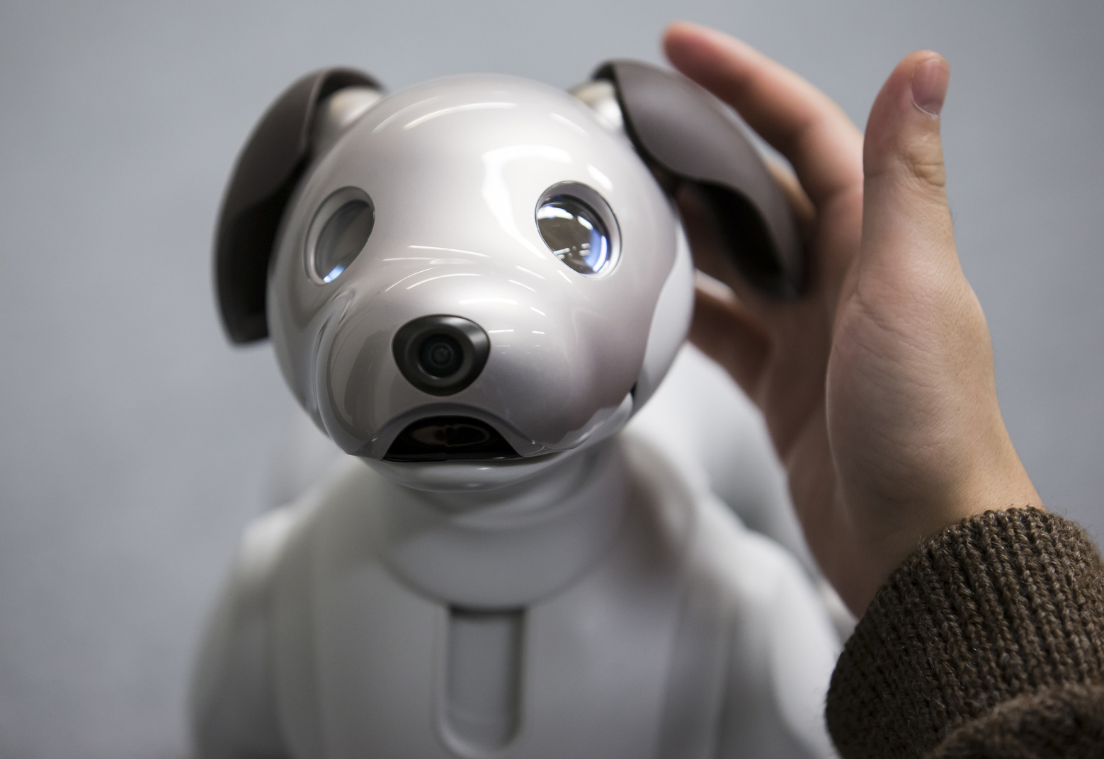 Sony’s facial recognition robot dog banned in Illinois