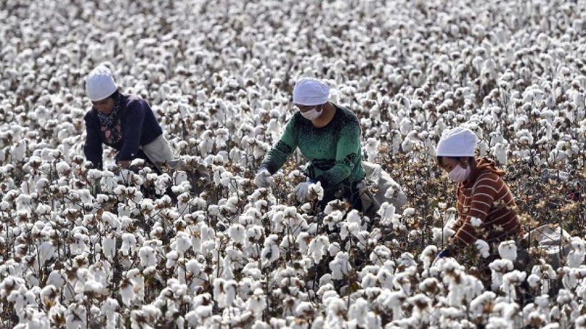 World #1 – US bans Chinese products made by forced ‘slave’ labor