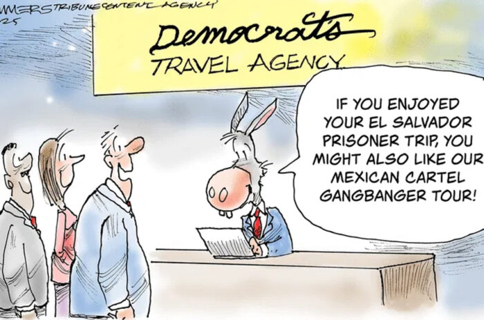 Travel Agency