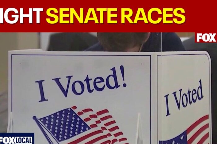 With table set for Senate battle, here are the races to watch