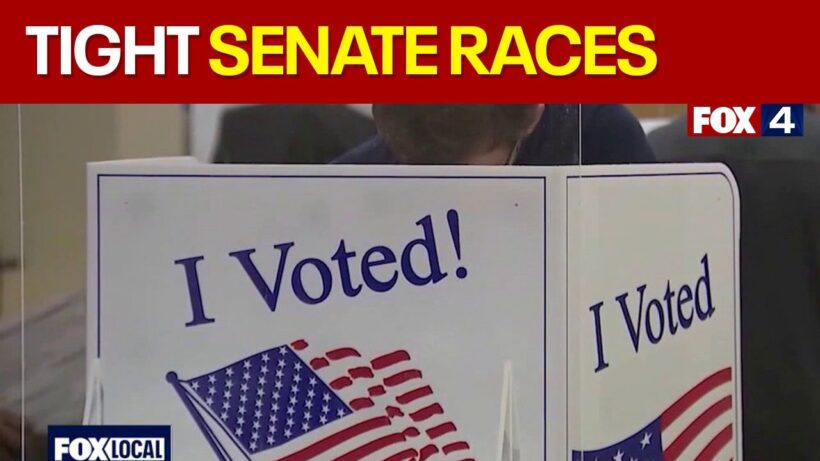 With table set for Senate battle, here are the races to watch