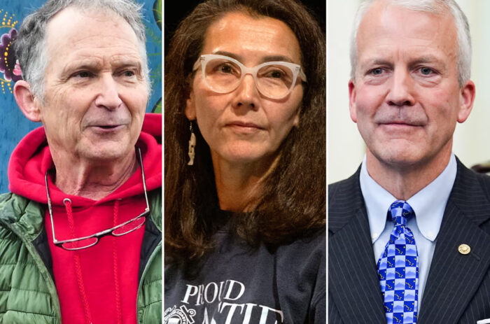 Democrats’ Secret Effort to Stack Alaska’s Midterm Ballot